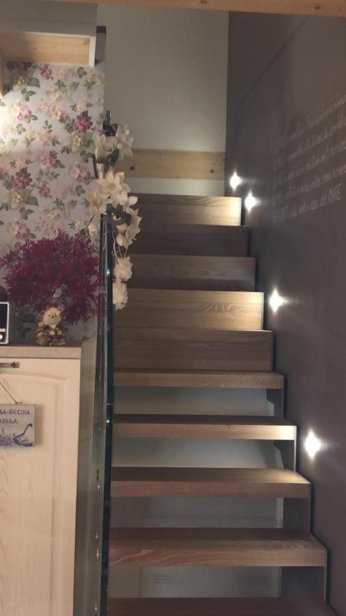 B&B Domar 西维尔诺瓦·马尔凯 外观 照片